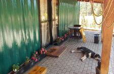 Casa Container em Monte Verde - 800m do Centro - Foto 12