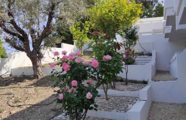 Arocaria Apartment in Faliraki with garden , mountain and sea view - Photo 36