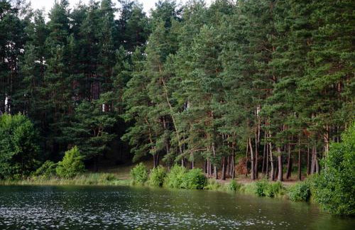 Domek nad strużką - Foto 22