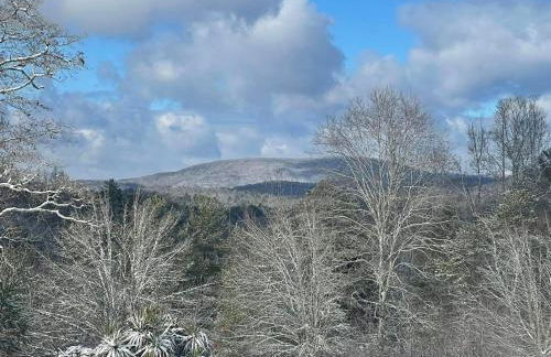 Hiwassee Lake Lodge - Foto 33