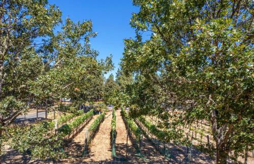 Happenstance Vineyards King Rooms - Foto 32