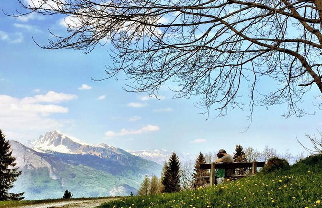 Spectacular Swiss Experience - Foto 23