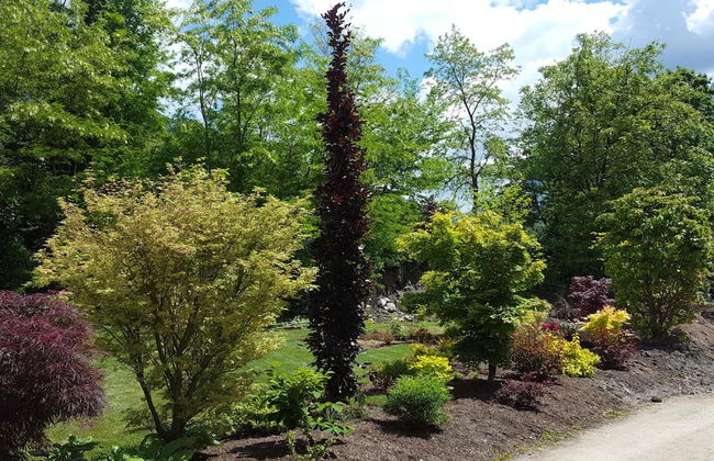 Masetto Egidio Agritur - Foto 43