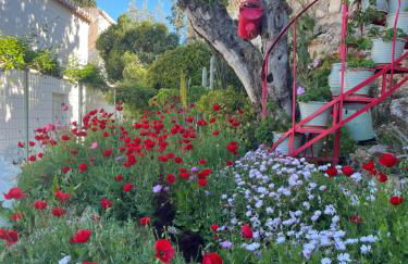 Tatiana's House - Photo 44