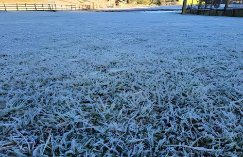 Cabana Pequeno Bosque som dás Águas - Foto 34