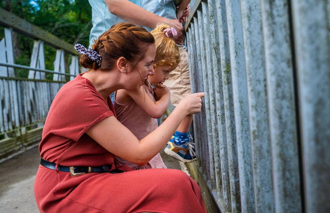 Modern Chalet in a Holiday Park - Photo 37