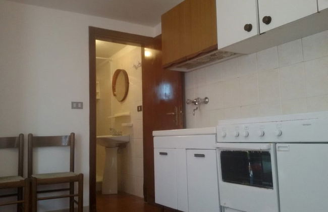 Parco delle Viole - Foto 15