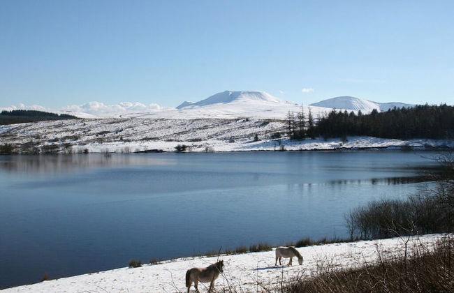 Bronfelin & Troed-y-rhiw Holiday Cottages - Foto 31