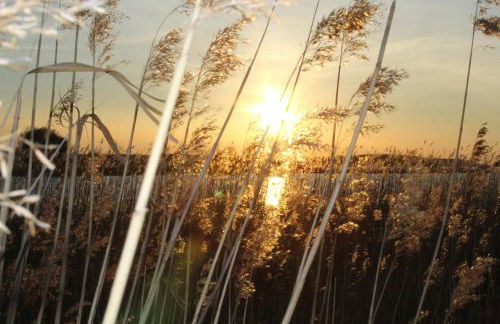 Halbinsel Resort Peenemünde - Foto 111