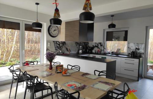 Willa w Brzozach Sznurki Spokojna 1 - Chmielno, Kaszuby, dom, jezioro - Foto 10