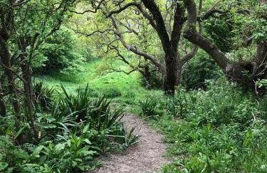 The Cowshed - Foto 22