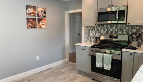 Newly Renovated 2 BR downtown Apt, family getaway. - Foto 2