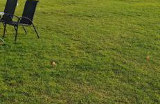 Coastal Escape at Sheppey Village - Foto 27