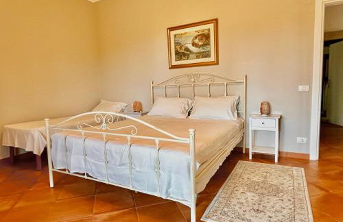 B&B Terre Toscane - Foto 12