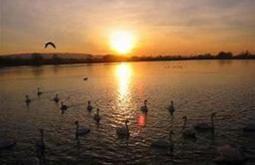 Loxley Barn, 1-bed Cottage Retreat - Photo 63