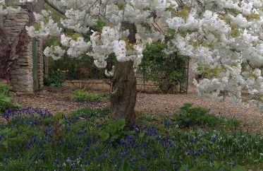 Orchard Cottage, Clematis cottages, Stamford. Accessible luxury home. - Foto 25