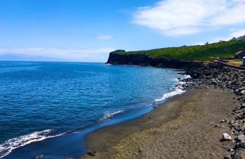 Adega da Prainha - Photo 31