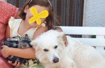 Casa tra i Trulli - Foto 17