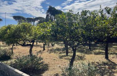 Midori-an 緑庵 - The Garden - Foto 75