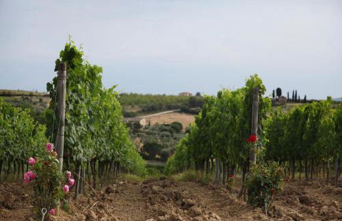 Agriturismo Bagnaia - Foto 36