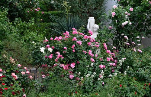 Zur Eiche Potsdam - Foto 18