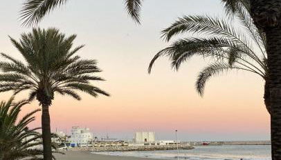 Tamarindo 5 - Foto 5