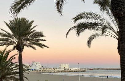 Tamarindo 5 - Foto 5