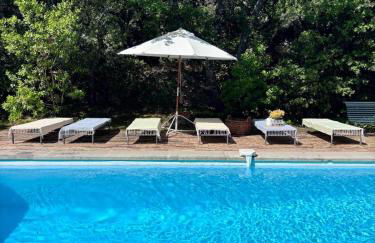 Mas exceptionnel à Lagnes, Provence - Foto 4