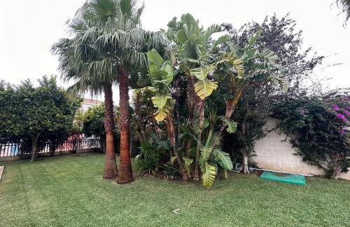 Villa Los Pinares de Monaco en Roche, Conil, Cádiz - Foto 46