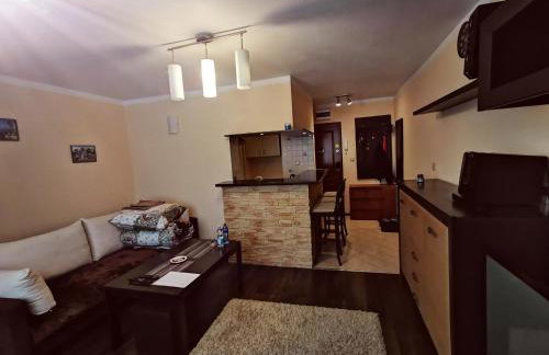 Aparatament PUŁAWY Centrum - Foto 1