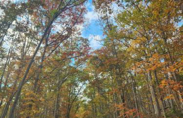 Serenity Cabin - Cozy Mountain retreat - Photo 34