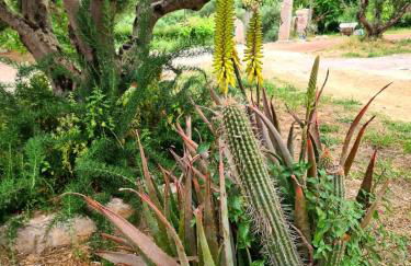 Koroni Stone House, fully equipped studios by the sea - Photo 35