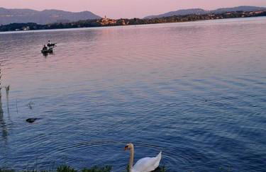 Il Campo sul Lago 1 - Foto 18