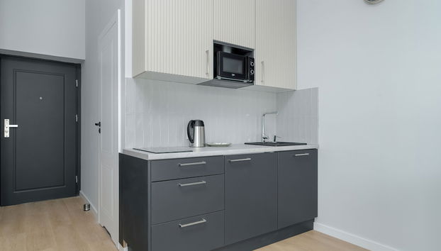 Stylish Grey Studio in Poznan by Renters - Foto 5, Cocina privada
