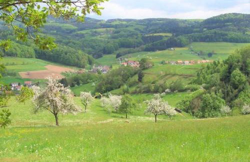 Ferienwohnung In der Ruhl - Photo 18
