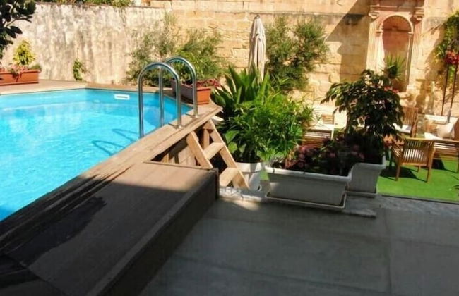 Maltese Maltese - Foto 58