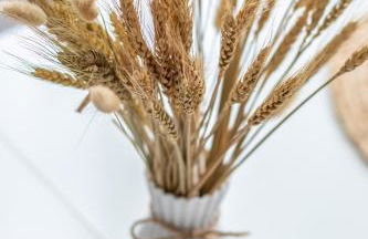 Bilbao Tranvía 51 - Foto 26