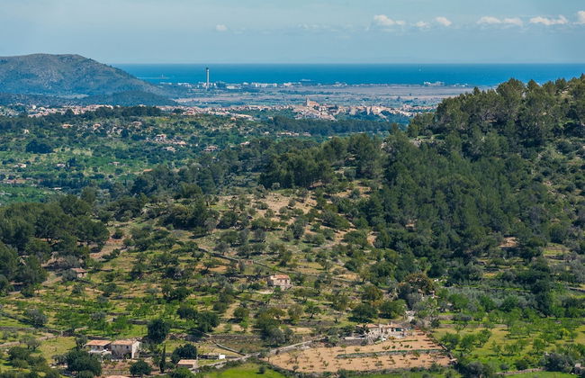 Casa Vella Vall Petit - Foto 29