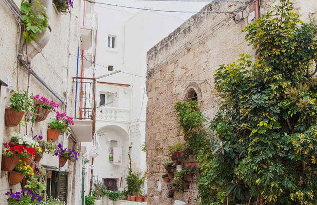 Tour privado por Monopoli - Foto 2