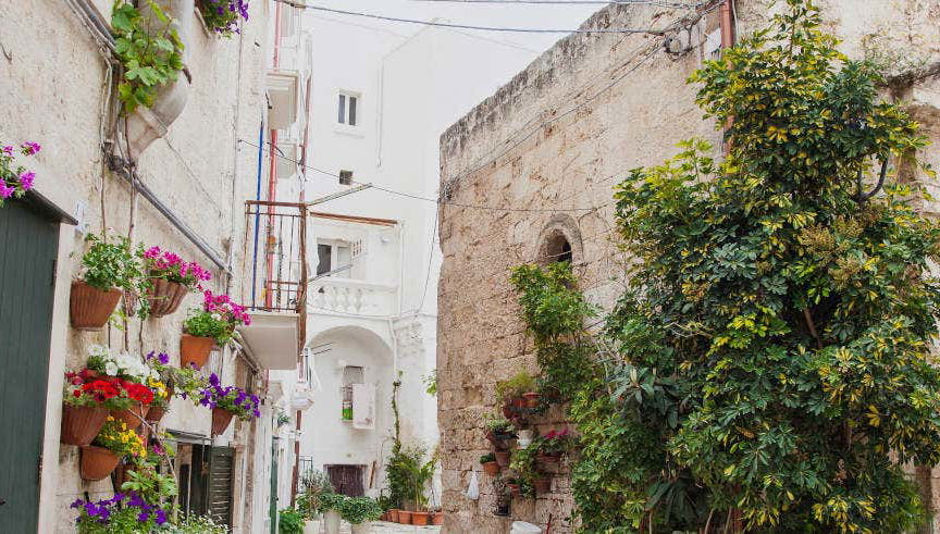 Tour privado por Monopoli