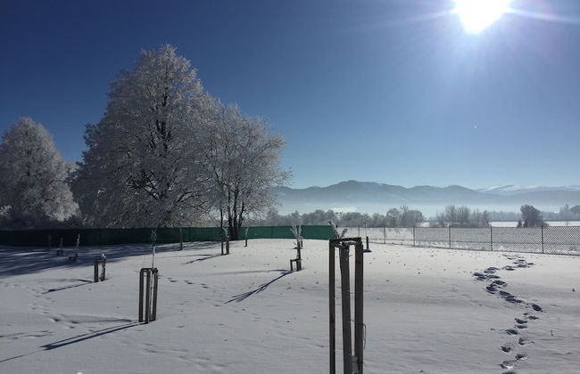 Apartments Ceresnovy Sad - Foto 61