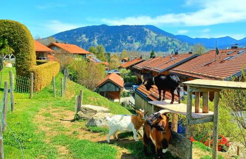 Ferienwohnung Zwiesel - Foto 15