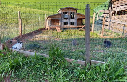 Agriturism Gscnara - Foto 38