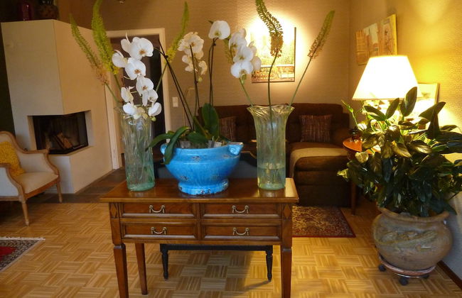 Golden Treasure Deluxe - Foto 36