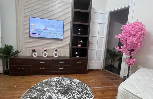 Downtown view studios - Foto 8