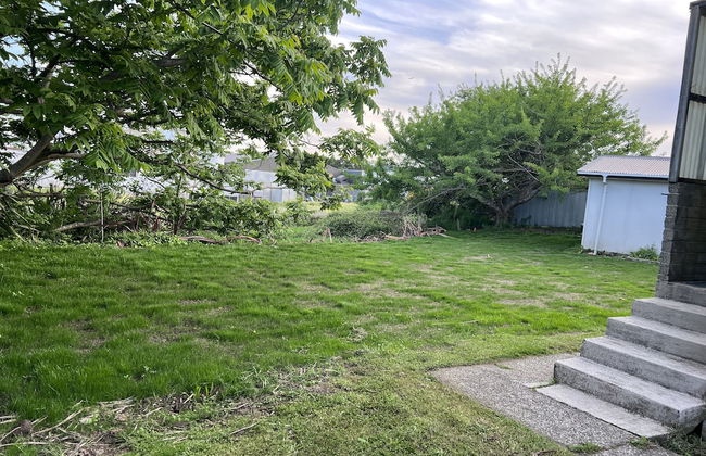 Ginkgo & Walnut - Foto 37