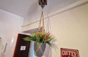 Er paranco - Foto 12