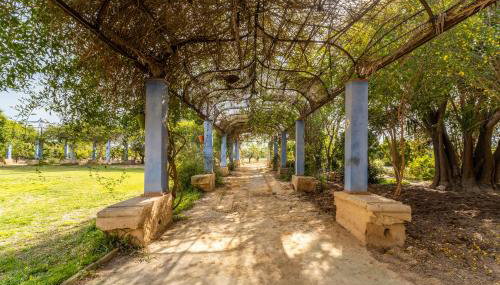 La Carrasca - Photo 4