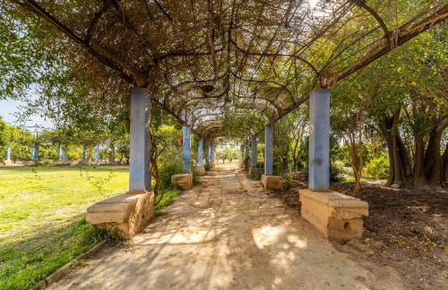 La Carrasca - Naranja - Foto 30