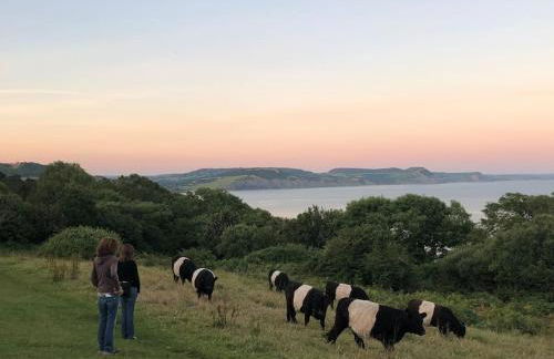 Sea Cliff View Designer Home - Photo 15